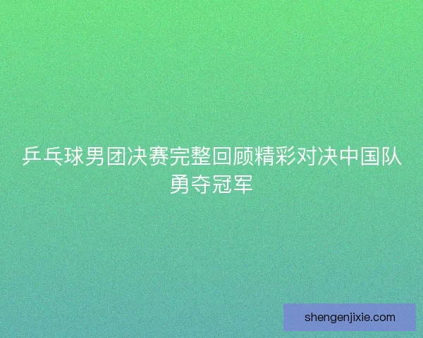 乒乓球男团决赛完整回顾精彩对决中国队勇夺冠军