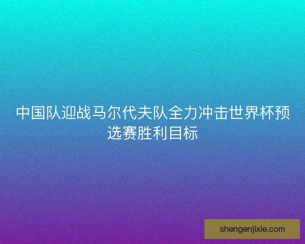 中国队迎战马尔代夫队全力冲击世界杯预选赛胜利目标
