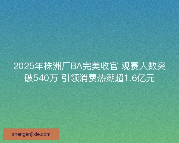 2025年株洲厂BA完美收官 观赛人数突破540万 引领消费热潮超1.6亿元