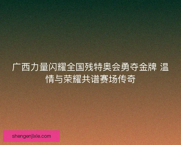 广西力量闪耀全国残特奥会勇夺金牌 温情与荣耀共谱赛场传奇 广西力量闪耀全国残特奥会勇夺金牌 温情与荣耀共谱赛场传奇