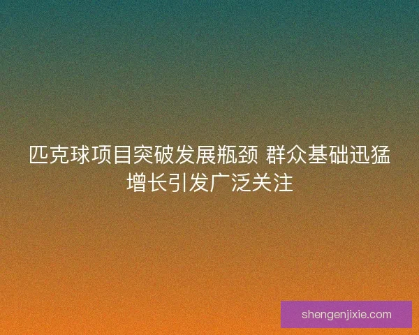 匹克球项目突破发展瓶颈 群众基础迅猛增长引发广泛关注 匹克球项目突破发展瓶颈 群众基础迅猛增长引发广泛关注