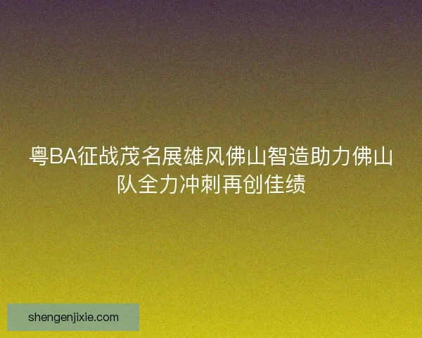 粤BA征战茂名展雄风佛山智造助力佛山队全力冲刺再创佳绩