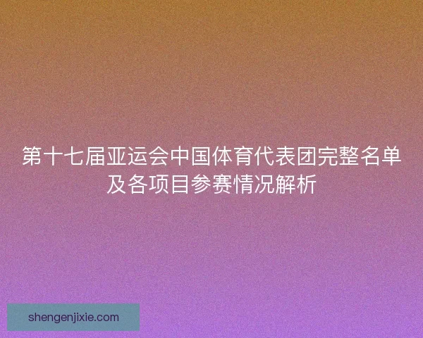 第十七届亚运会中国体育代表团完整名单及各项目参赛情况解析