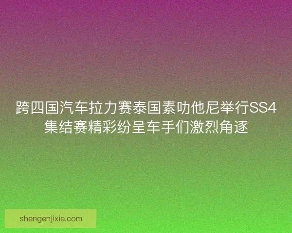 跨四国汽车拉力赛泰国素叻他尼举行SS4集结赛精彩纷呈车手们激烈角逐